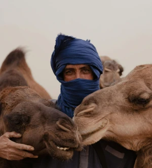 Morocco, on the roads we drive