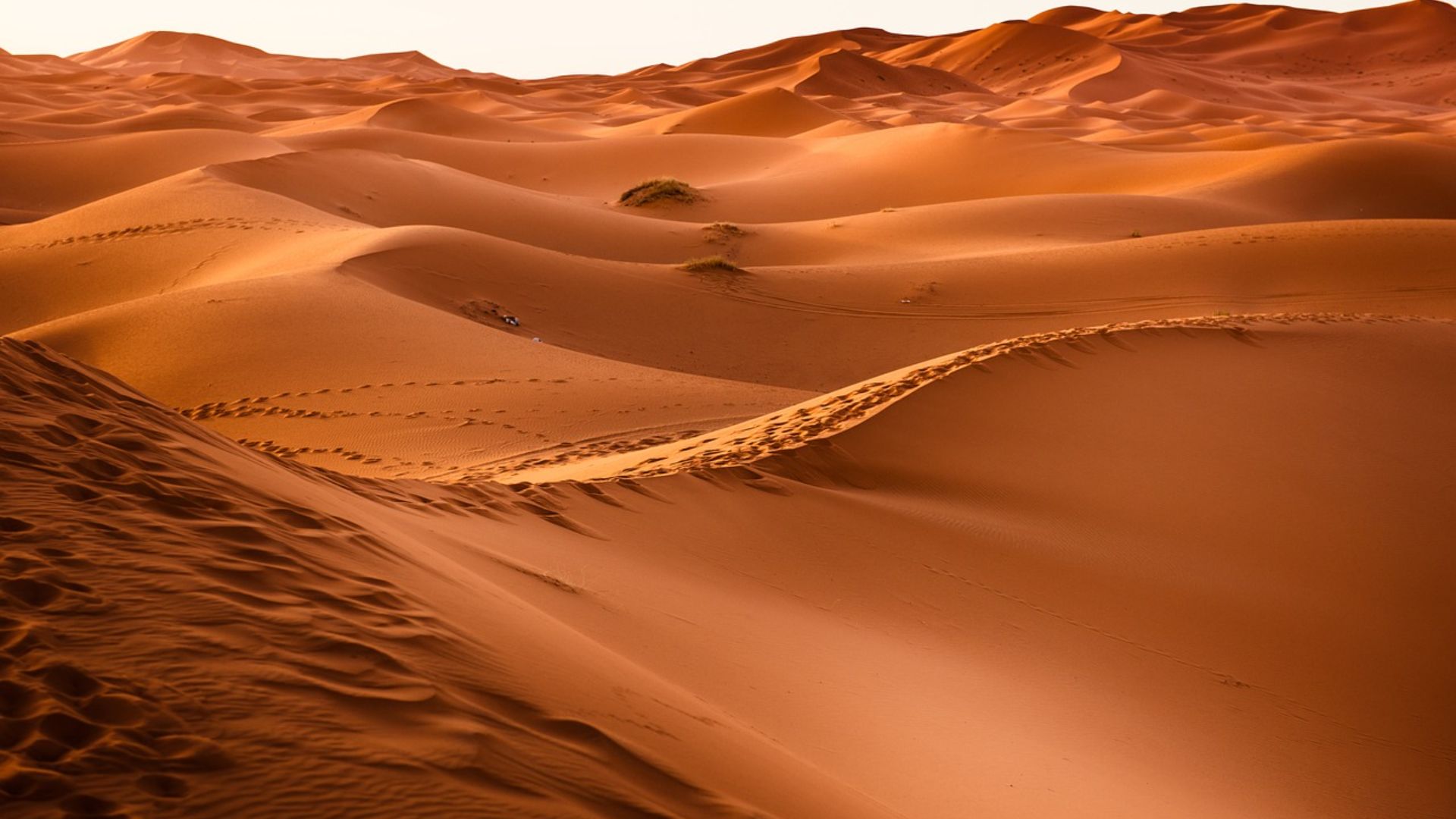 Sahara dunes near Merzouga